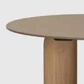 Ottawa beaver